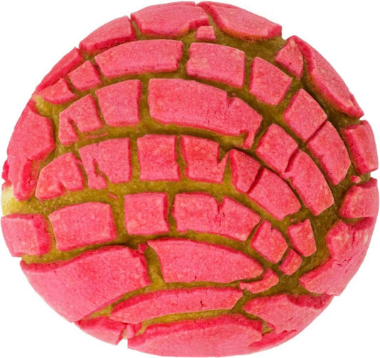 Concha Blanket White Elephant Gifts for Kids Stuff Useful Adults Teenagers Throw Blankets Wrap Boy Girl Party Novelty Gag Pets Soft Fleece Sweet Shell Bread 61in